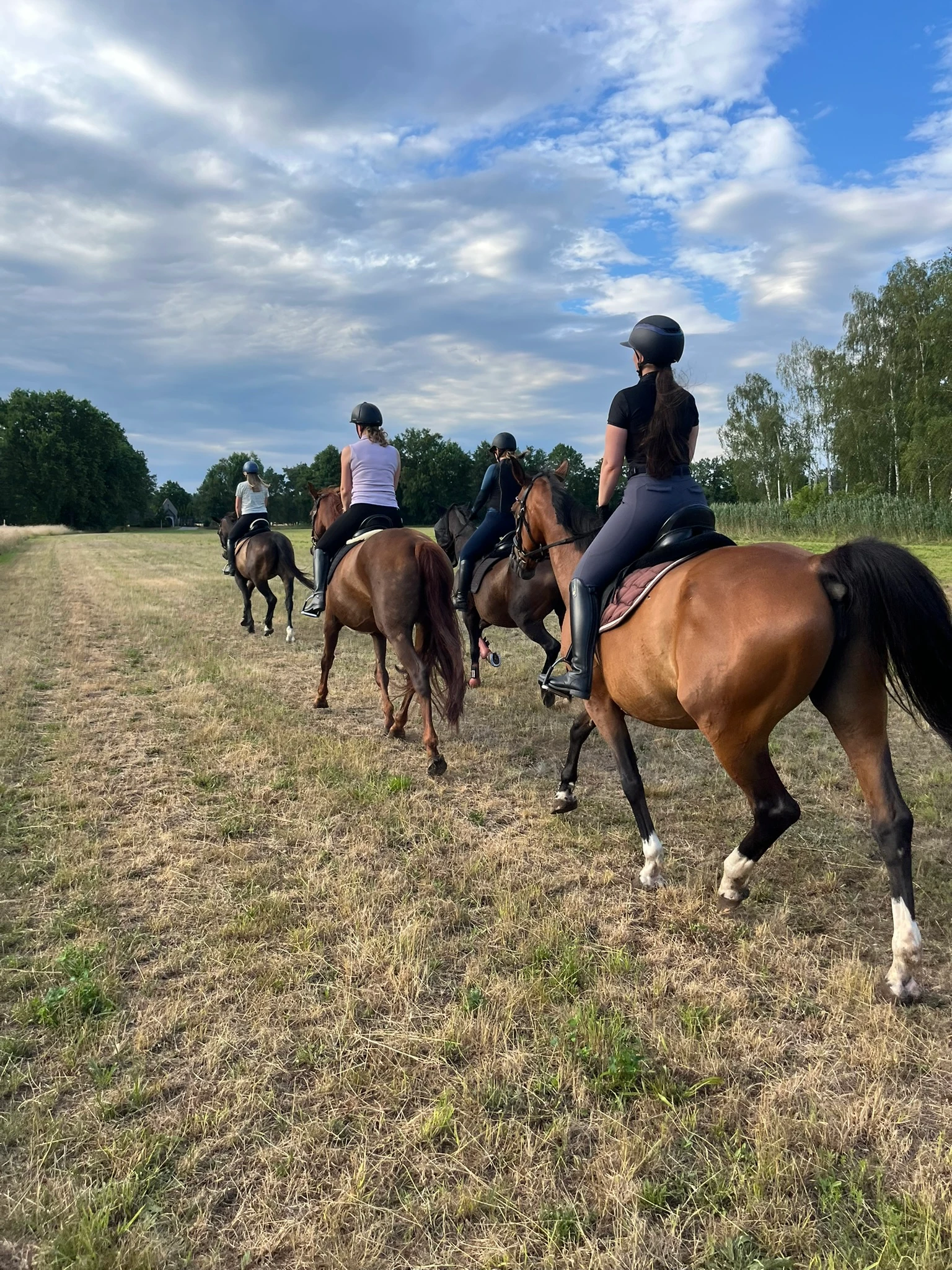 Spass und Freude beim Ausritt