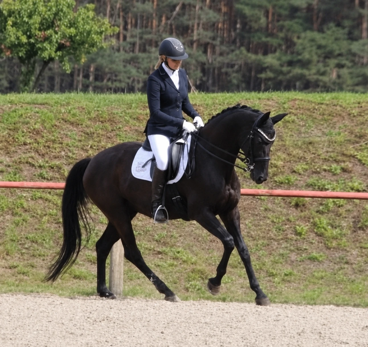 Dressurtraining auf dem Außenplatz mit Carolin Sikora